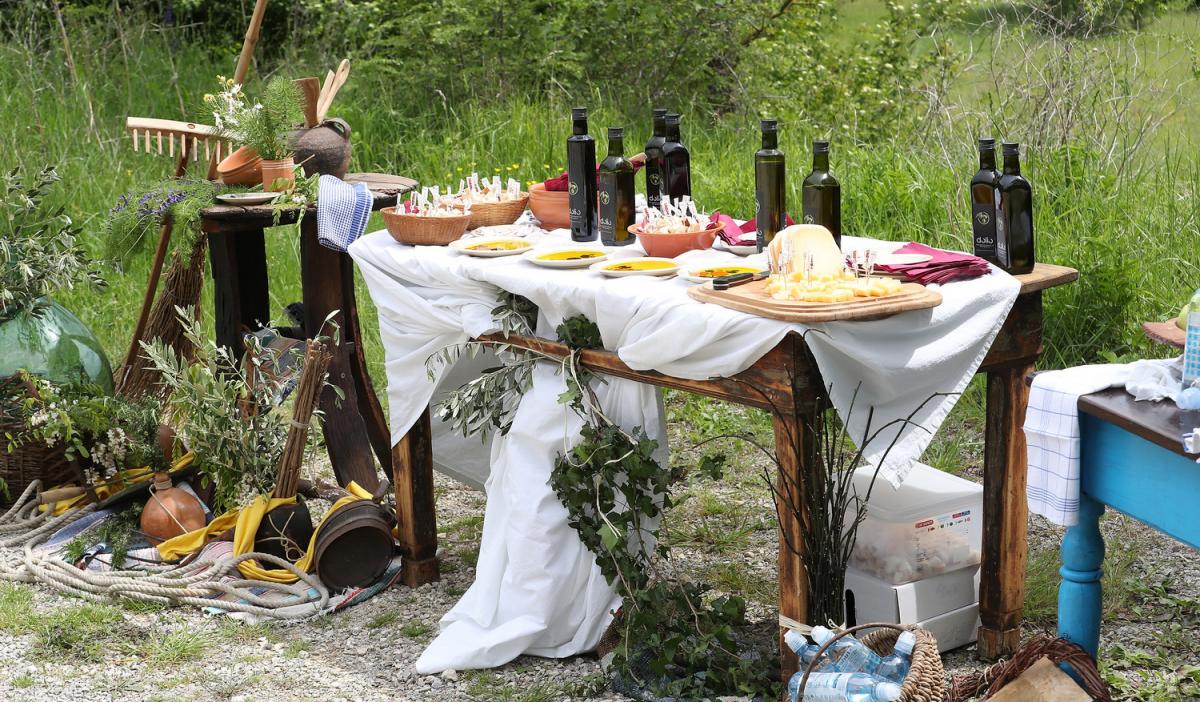 Surprise olive oil tasting in Istria