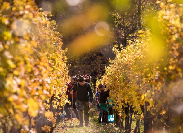 Slovenia unique experiences