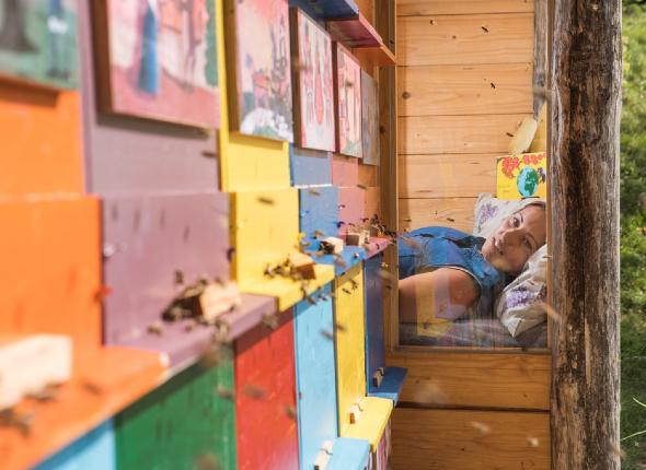 The fascinating world of bees