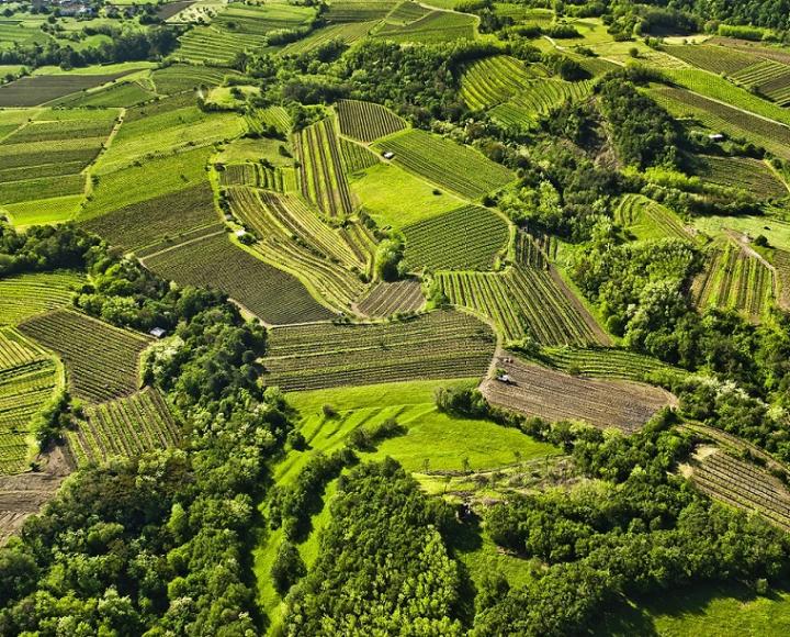 Private incentives Slovenia