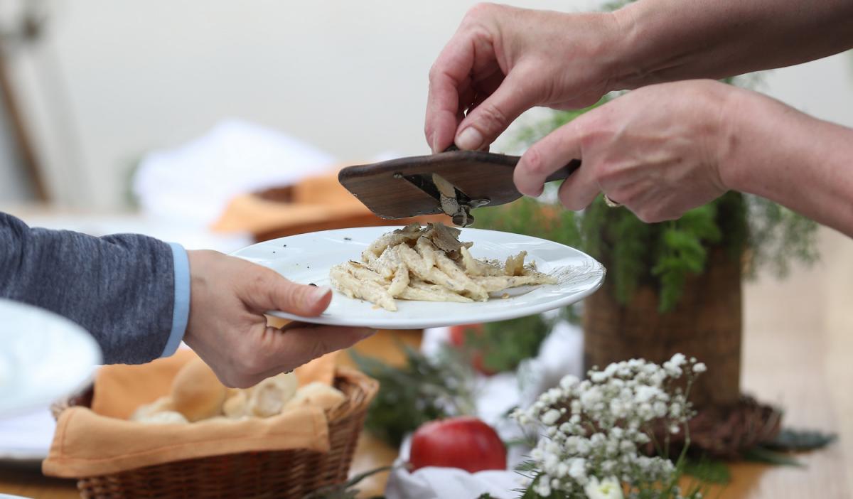 Truffle tasting in Istria